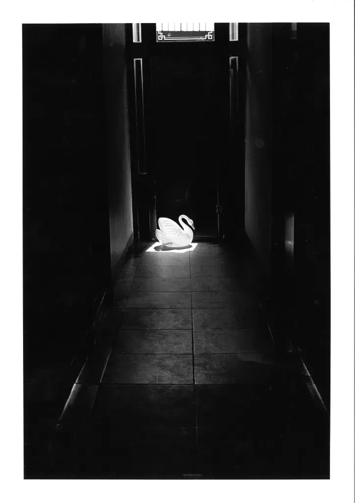 20170918172616_00001